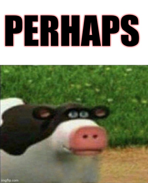 Perhaps cow | PERHAPS | image tagged in perhaps cow | made w/ Imgflip meme maker