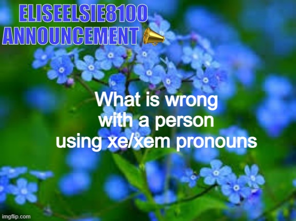 EliseElsie8100 Announcement | What is wrong with a person using xe/xem pronouns | image tagged in eliseelsie8100 announcement | made w/ Imgflip meme maker