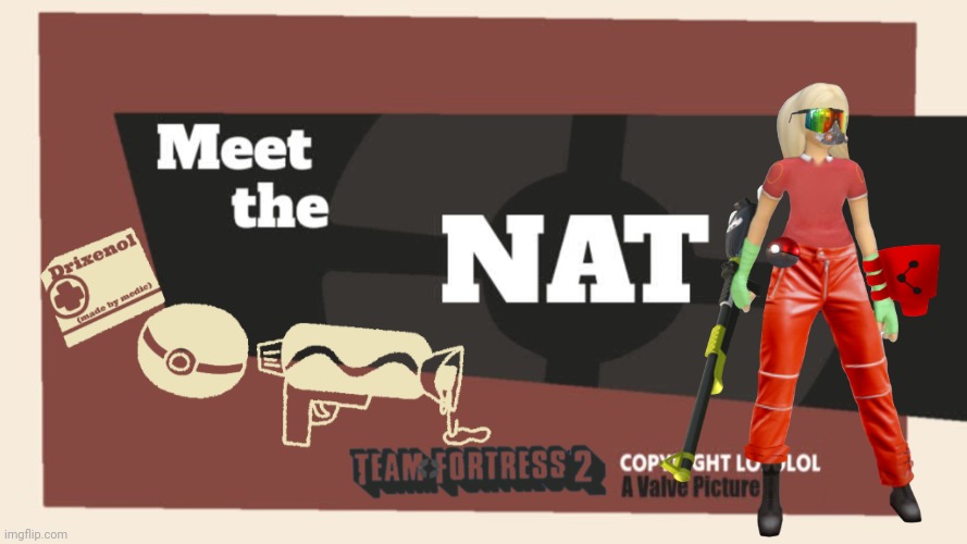 Meet the Nat | image tagged in meet the nat | made w/ Imgflip meme maker