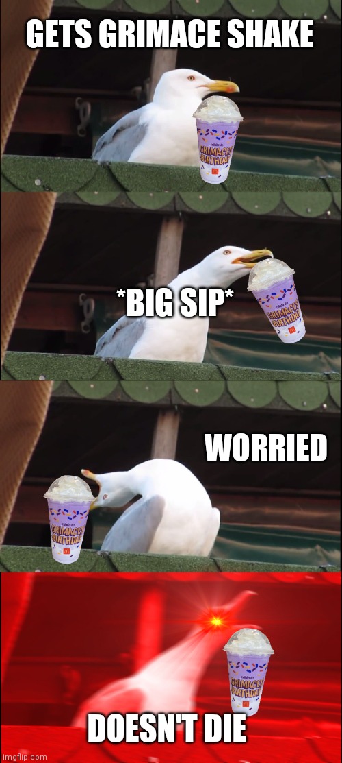 The grimace shake truth | GETS GRIMACE SHAKE; *BIG SIP*; WORRIED; DOESN'T DIE | image tagged in memes,inhaling seagull | made w/ Imgflip meme maker