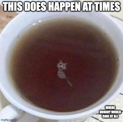 Cat-Shaped Bubbles in Cup of Soup | THIS DOES HAPPEN AT TIMES; WHERE NOBODY WOULD CARE AT ALL | image tagged in bubbles,memes,cats | made w/ Imgflip meme maker