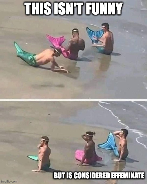 Men With Mermaid Tails | THIS ISN'T FUNNY; BUT IS CONSIDERED EFFEMINATE | image tagged in mermaid,memes | made w/ Imgflip meme maker