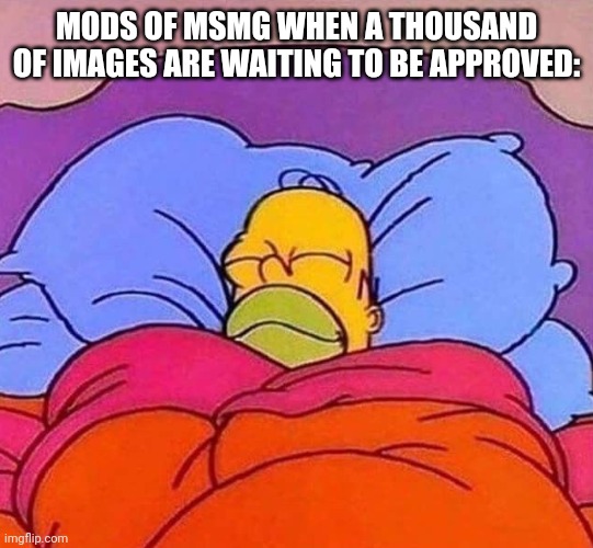 Homer Simpson sleeping peacefully | MODS OF MSMG WHEN A THOUSAND OF IMAGES ARE WAITING TO BE APPROVED: | image tagged in homer simpson sleeping peacefully | made w/ Imgflip meme maker