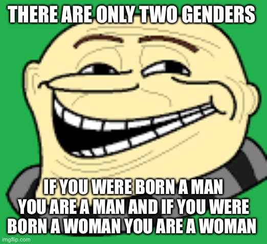 I wish I could post this in the LGBTQ stream but I’m indefinitely banned | THERE ARE ONLY TWO GENDERS; IF YOU WERE BORN A MAN YOU ARE A MAN AND IF YOU WERE BORN A WOMAN YOU ARE A WOMAN | image tagged in gru troll face | made w/ Imgflip meme maker