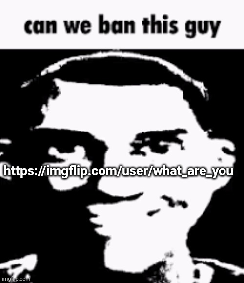 Please ban what_are_you from msmg for those reasons: https://youtu.be/2hV9RpzPVxE | https://imgflip.com/user/what_are_you | image tagged in can we ban this guy | made w/ Imgflip meme maker