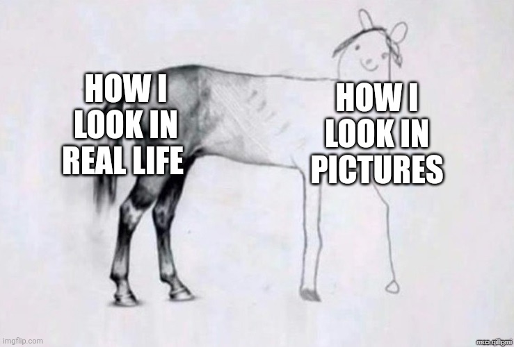 Horse Drawing | HOW I LOOK IN REAL LIFE; HOW I LOOK IN PICTURES | image tagged in horse drawing | made w/ Imgflip meme maker