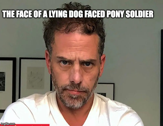 pony soldier - rohb/rupe | THE FACE OF A LYING DOG FACED PONY SOLDIER | image tagged in hunter biden | made w/ Imgflip meme maker