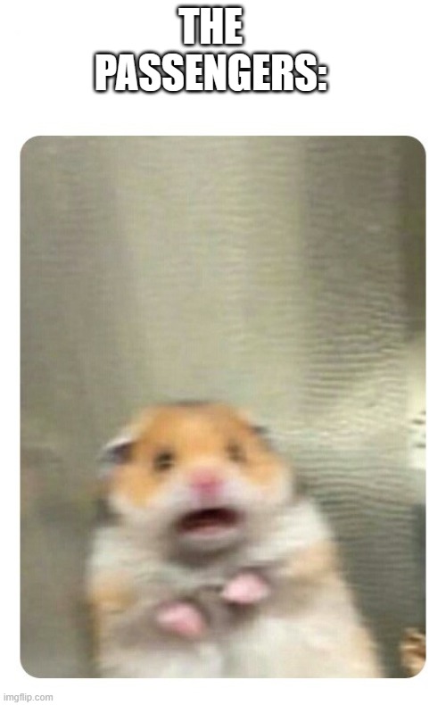 Screaming Hamster | THE PASSENGERS: | image tagged in screaming hamster | made w/ Imgflip meme maker