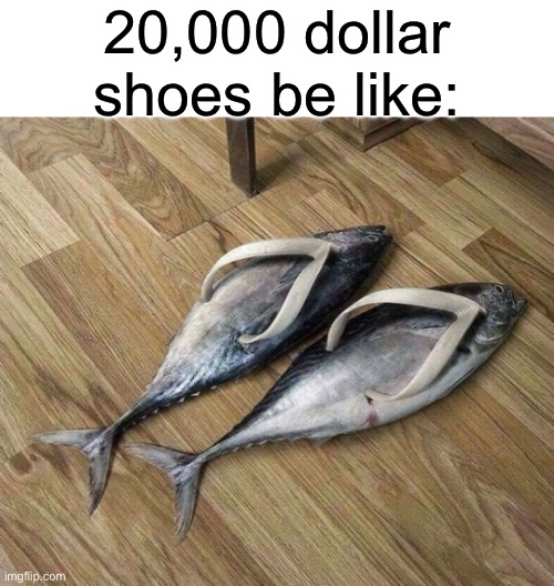 Every expensive shoe nowadays | 20,000 dollar shoes be like: | image tagged in funny,shoes,crocs | made w/ Imgflip meme maker