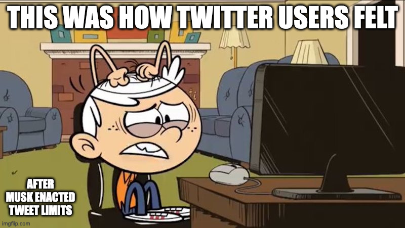 Lincoln Freaking Out | THIS WAS HOW TWITTER USERS FELT; AFTER MUSK ENACTED TWEET LIMITS | image tagged in twitter,lincoln loud,the loud house,memes | made w/ Imgflip meme maker