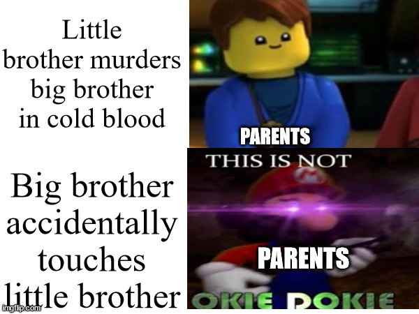 Little brother murders big brother in cold blood; PARENTS; Big brother accidentally touches little brother; PARENTS | image tagged in memes,funny,relatable | made w/ Imgflip meme maker