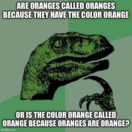 Too many “orange” | ARE ORANGES CALLED ORANGES BECAUSE THEY HAVE THE COLOR ORANGE; OR IS THE COLOR ORANGE CALLED ORANGE BECAUSE ORANGES ARE ORANGE? | image tagged in memes,philosoraptor | made w/ Imgflip meme maker