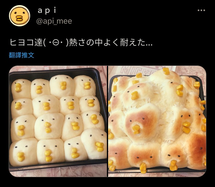 High Quality chicken bread Blank Meme Template