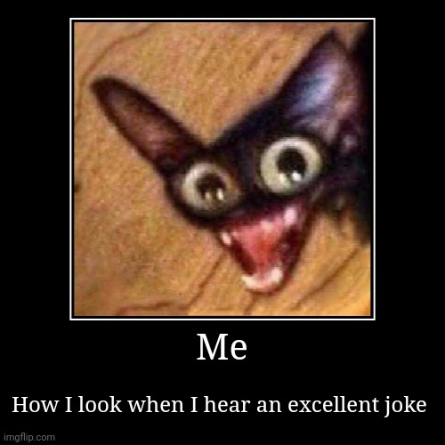 That joke was excellent | Me | How I look when I hear an excellent joke | image tagged in funny,demotivationals | made w/ Imgflip demotivational maker