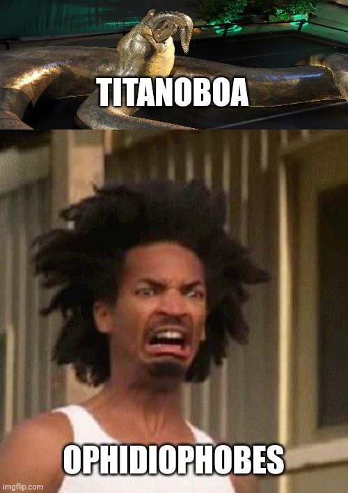 When people who are afraid of snakes learn of titanoboa | TITANOBOA; OPHIDIOPHOBES | image tagged in disgusted face | made w/ Imgflip meme maker