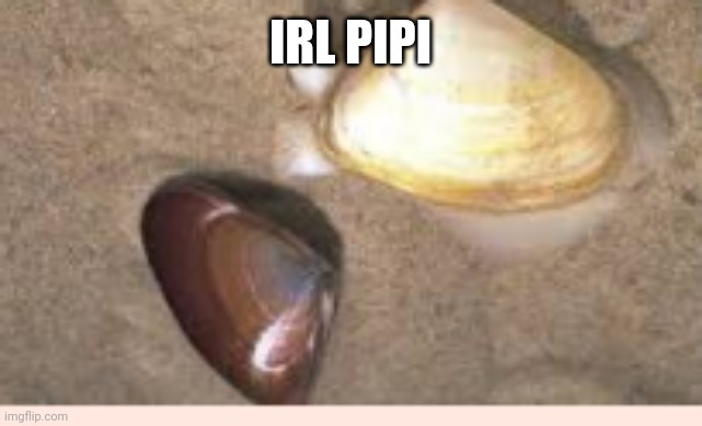 Why doesn't kris eat the pipis | IRL PIPI | image tagged in deltarune | made w/ Imgflip meme maker