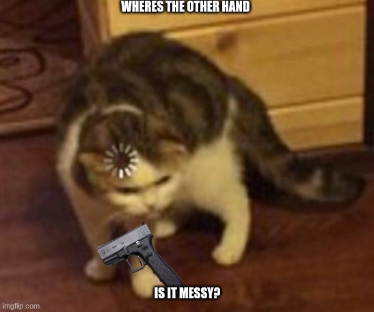 Loading cat | WHERES THE OTHER HAND IS IT MESSY? | image tagged in loading cat | made w/ Imgflip meme maker