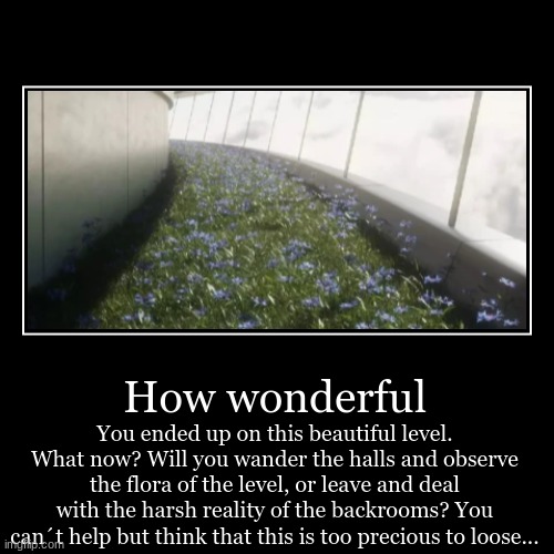 How wonderful | You ended up on this beautiful level. What now? Will you wander the halls and observe the flora of the level, or leave and d | image tagged in funny,demotivationals | made w/ Imgflip demotivational maker