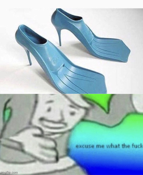 Meme #2,722 | image tagged in excuse me what the heck,memes,cursed,cursed image,shoes,flippers | made w/ Imgflip meme maker