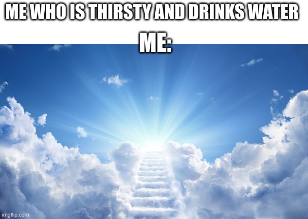 feels like heaven | ME WHO IS THIRSTY AND DRINKS WATER; ME: | image tagged in memes,true | made w/ Imgflip meme maker