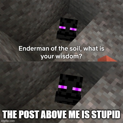 Enderman of the soil | THE POST ABOVE ME IS STUPID | image tagged in enderman of the soil | made w/ Imgflip meme maker