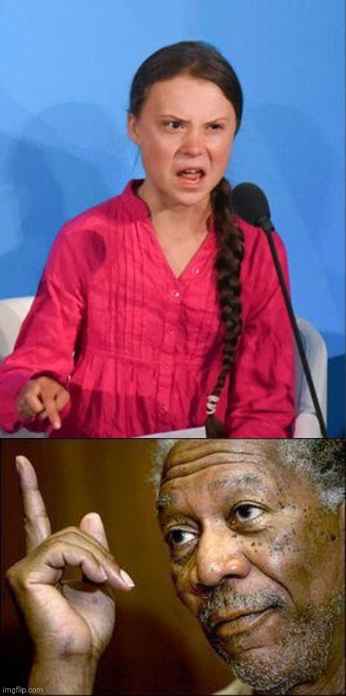 image tagged in greta thunberg how dare you,she's right you know | made w/ Imgflip meme maker