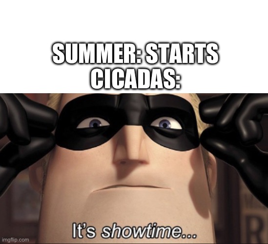 I’ve been hearing so many of them | SUMMER: STARTS
CICADAS: | image tagged in blank white template,it's showtime | made w/ Imgflip meme maker