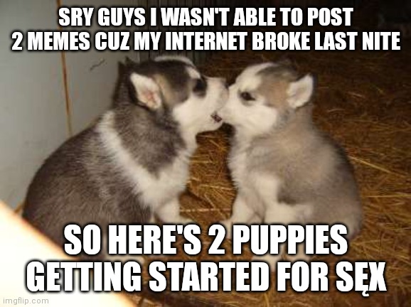 Are you ready!? | SRY GUYS I WASN'T ABLE TO POST 2 MEMES CUZ MY INTERNET BROKE LAST NITE; SO HERE'S 2 PUPPIES GETTING STARTED FOR SĘX | image tagged in memes,cute puppies,mating | made w/ Imgflip meme maker