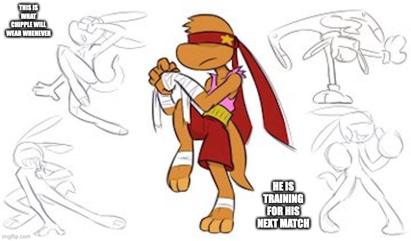 Chipple With Blindfold | THIS IS WHAT CHIPPLE WILL WEAR WHENEVER; HE IS TRAINING FOR HIS NEXT MATCH | image tagged in chipple,klonoa,memes | made w/ Imgflip meme maker