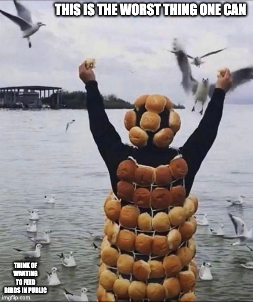 Covered in Bread | THIS IS THE WORST THING ONE CAN; THINK OF WANTING TO FEED BIRDS IN PUBLIC | image tagged in memes,bread,seagulls | made w/ Imgflip meme maker