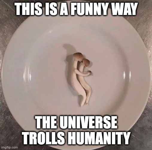 Two Mushrooms on a Plate | THIS IS A FUNNY WAY; THE UNIVERSE TROLLS HUMANITY | image tagged in mushrooms,memes | made w/ Imgflip meme maker