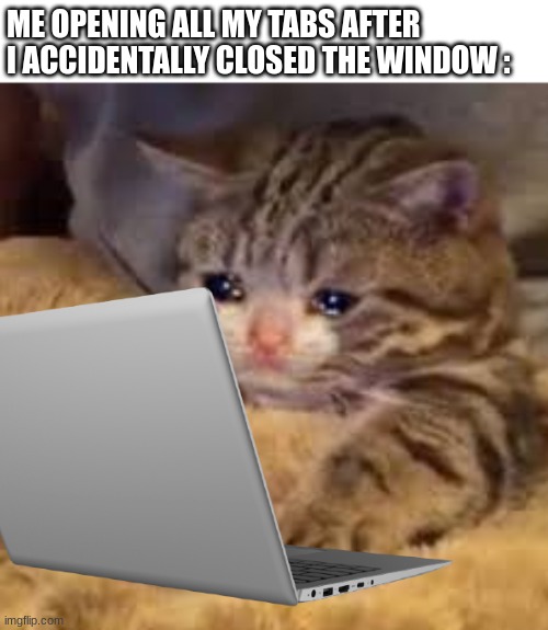 In spain without the s | ME OPENING ALL MY TABS AFTER I ACCIDENTALLY CLOSED THE WINDOW : | image tagged in sad cat looking at phone,relatable,computer | made w/ Imgflip meme maker