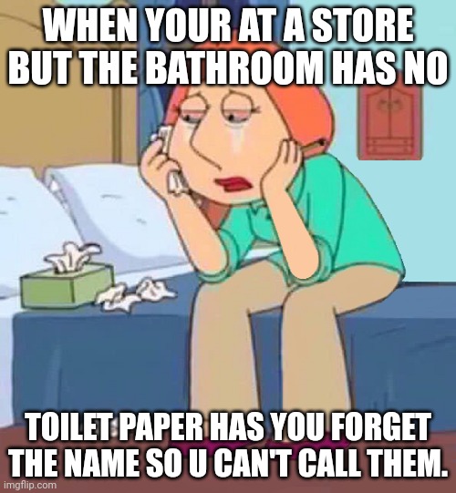 HELL | WHEN YOUR AT A STORE BUT THE BATHROOM HAS NO; TOILET PAPER HAS YOU FORGET THE NAME SO U CAN'T CALL THEM. | image tagged in lois griffin crying in bed | made w/ Imgflip meme maker