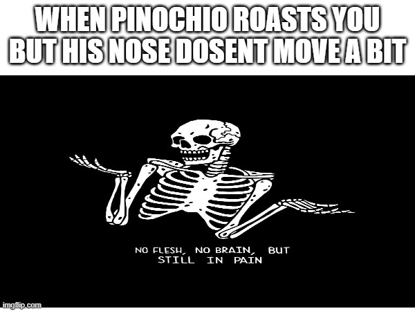 i feel ya bro | WHEN PINOCHIO ROASTS YOU BUT HIS NOSE DOSENT MOVE A BIT | image tagged in roasted | made w/ Imgflip meme maker