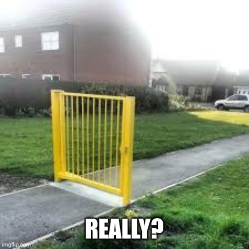 Really? | REALLY? | image tagged in useless gate | made w/ Imgflip meme maker