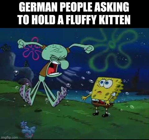 angry squidward | GERMAN PEOPLE ASKING TO HOLD A FLUFFY KITTEN | image tagged in angry squidward | made w/ Imgflip meme maker