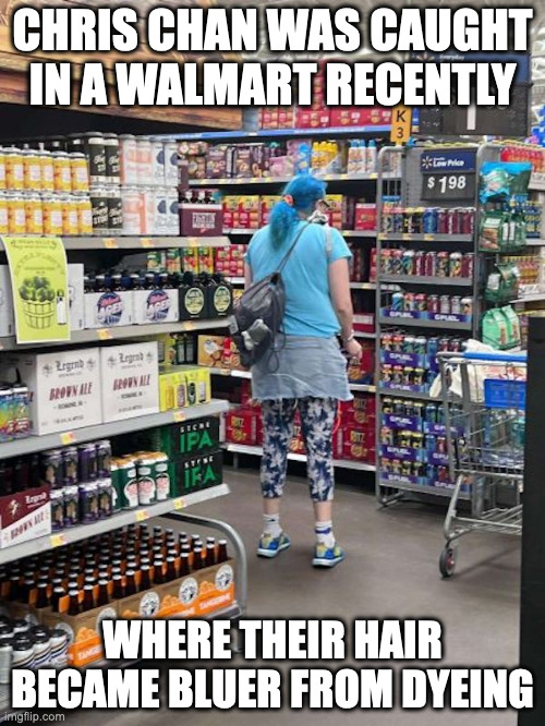 Chris Chan at a Local Walmart | CHRIS CHAN WAS CAUGHT IN A WALMART RECENTLY; WHERE THEIR HAIR BECAME BLUER FROM DYEING | image tagged in walmart,chris chan,memes | made w/ Imgflip meme maker