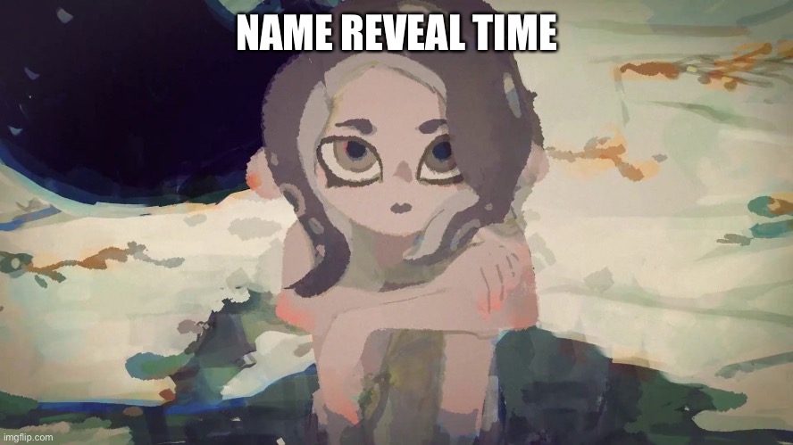 name in comments not that anyone cares | NAME REVEAL TIME | made w/ Imgflip meme maker