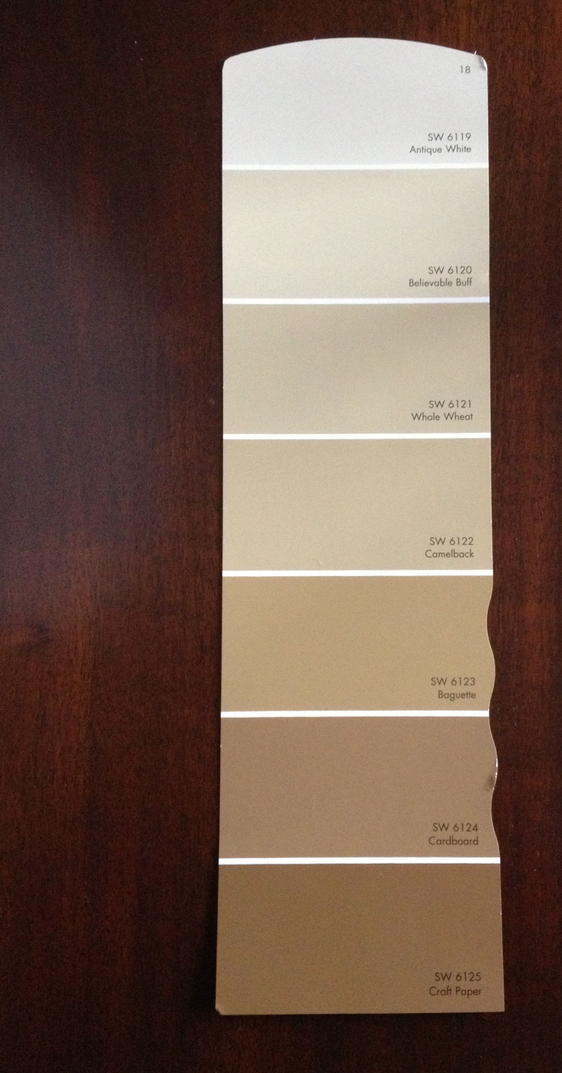 High Quality Republican color paint strip White Brown beige JPP Blank Meme Template