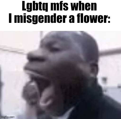 AAAAAAAAAAAAAAAAAAAA | Lgbtq mfs when I misgender a flower: | image tagged in aaaaaaaaaaaaaaaaaaaa | made w/ Imgflip meme maker