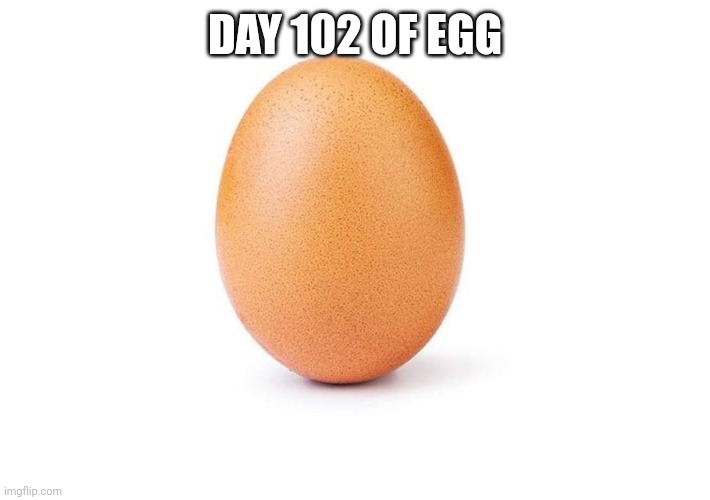 EGG | DAY 102 OF EGG | image tagged in eggbert,eggs,egg | made w/ Imgflip meme maker