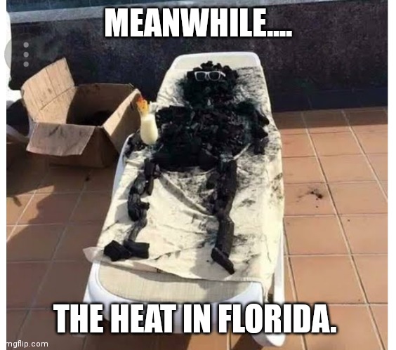 Heat | MEANWHILE.... THE HEAT IN FLORIDA. | image tagged in heat | made w/ Imgflip meme maker