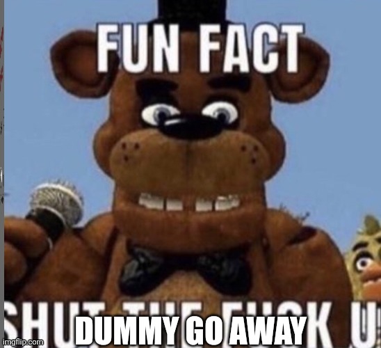 fun fact shut the fuck up | DUMMY GO AWAY | image tagged in fun fact shut the fuck up | made w/ Imgflip meme maker