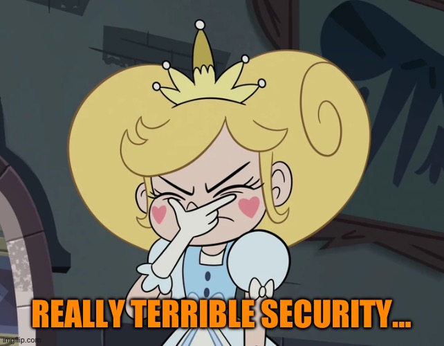 Star Butterfly getting very frustrated | REALLY TERRIBLE SECURITY… | image tagged in star butterfly getting very frustrated | made w/ Imgflip meme maker