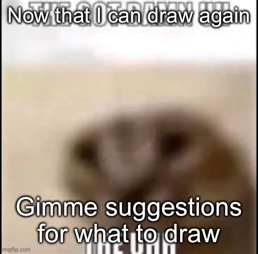 The got damn the uh the uhhh | Now that I can draw again; Gimme suggestions for what to draw | image tagged in the got damn the uh the uhhh | made w/ Imgflip meme maker