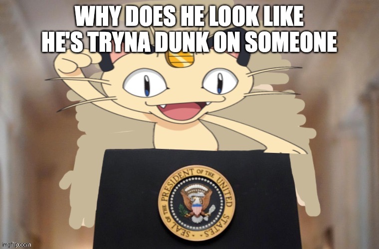 Meowth party | WHY DOES HE LOOK LIKE HE'S TRYNA DUNK ON SOMEONE | image tagged in meowth party | made w/ Imgflip meme maker