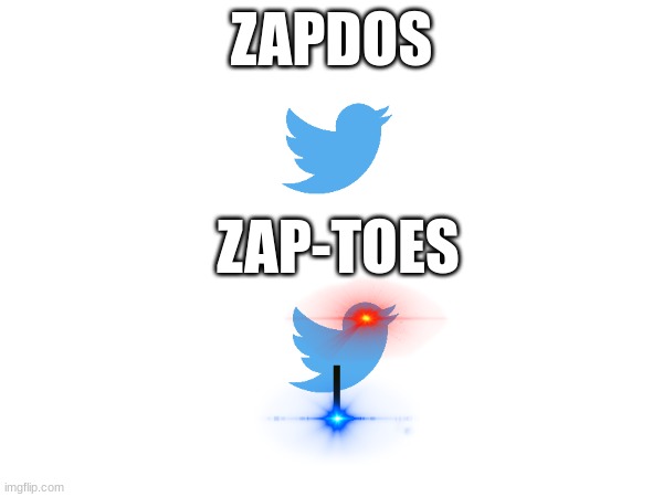 ZapToes | ZAPDOS; ZAP-TOES | image tagged in memes | made w/ Imgflip meme maker