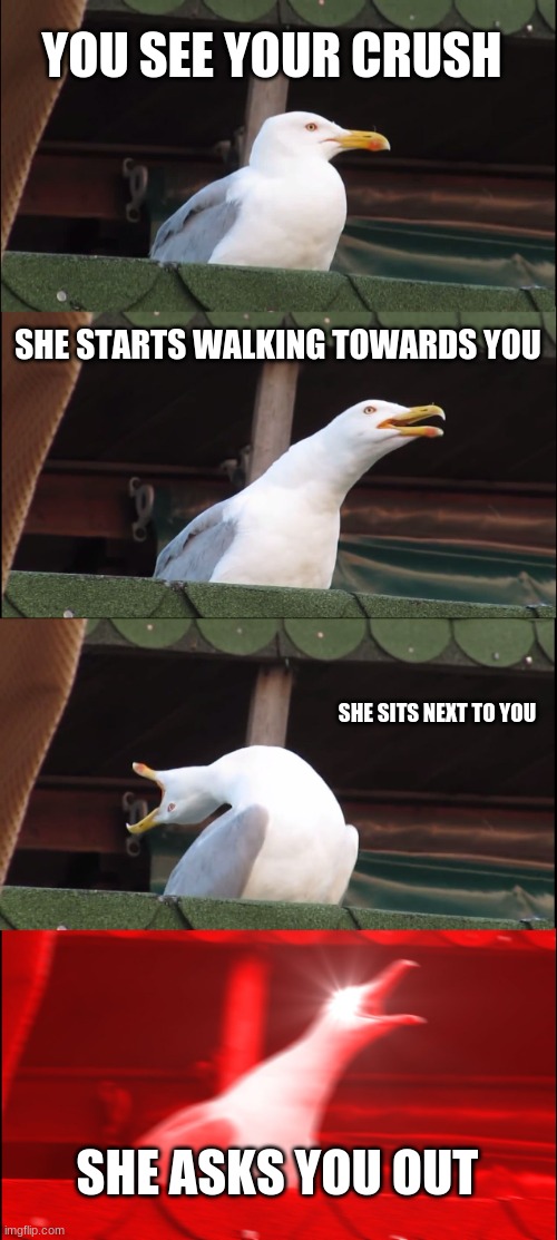 Inhaling Seagull Meme | YOU SEE YOUR CRUSH; SHE STARTS WALKING TOWARDS YOU; SHE SITS NEXT TO YOU; SHE ASKS YOU OUT | image tagged in memes,inhaling seagull | made w/ Imgflip meme maker