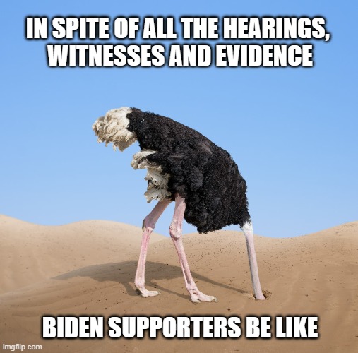 No matter what, dems are do what dems do, circle the wagons and blame Trump. | IN SPITE OF ALL THE HEARINGS, 
WITNESSES AND EVIDENCE; BIDEN SUPPORTERS BE LIKE | image tagged in ostrich,liberals,democrats,woke,social justice warriors,biden supporters | made w/ Imgflip meme maker