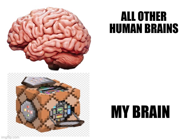Brains | ALL OTHER HUMAN BRAINS; MY BRAIN | image tagged in memes,minecraft,brain | made w/ Imgflip meme maker